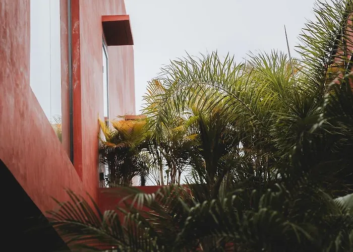 Five Stories By Suom
